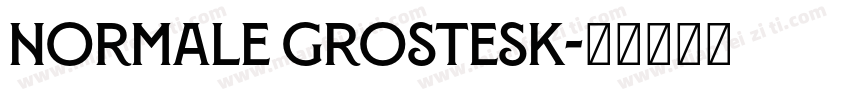 Normale Grostesk字体转换